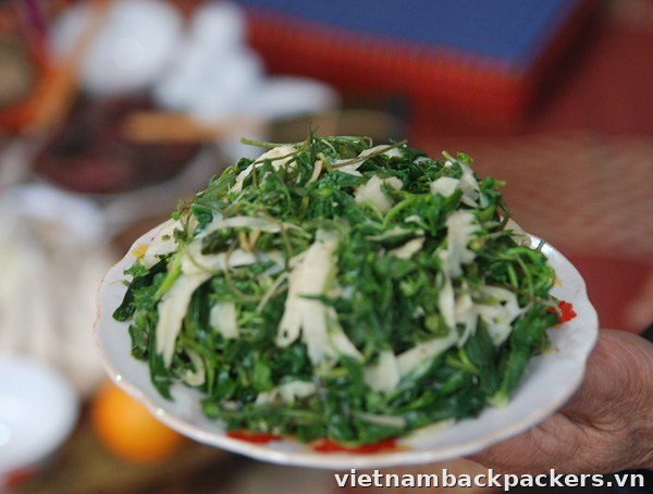 rau rừng
