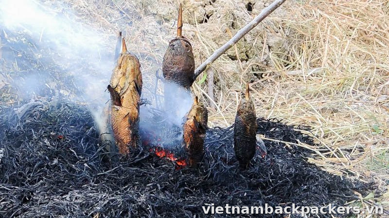 Cá lóc nướng trui