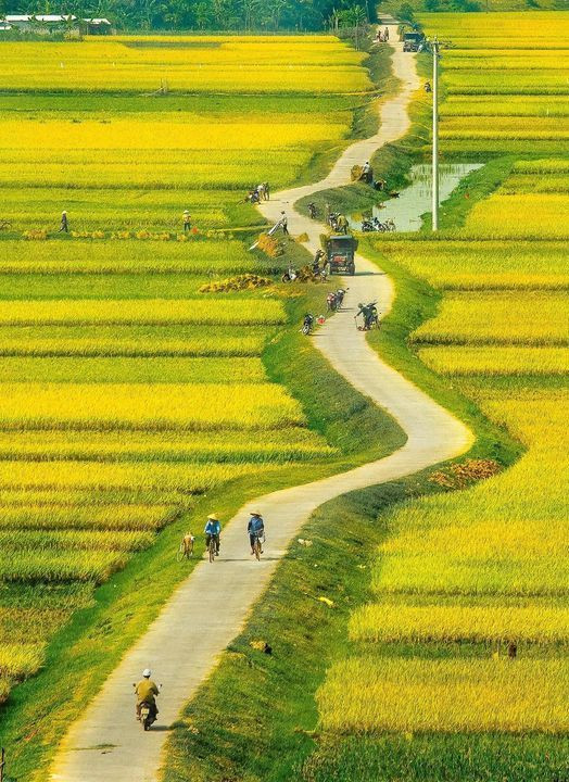 Hướng dẫn du lịch tự túc Hà Giang 5 ngày 5 đêm