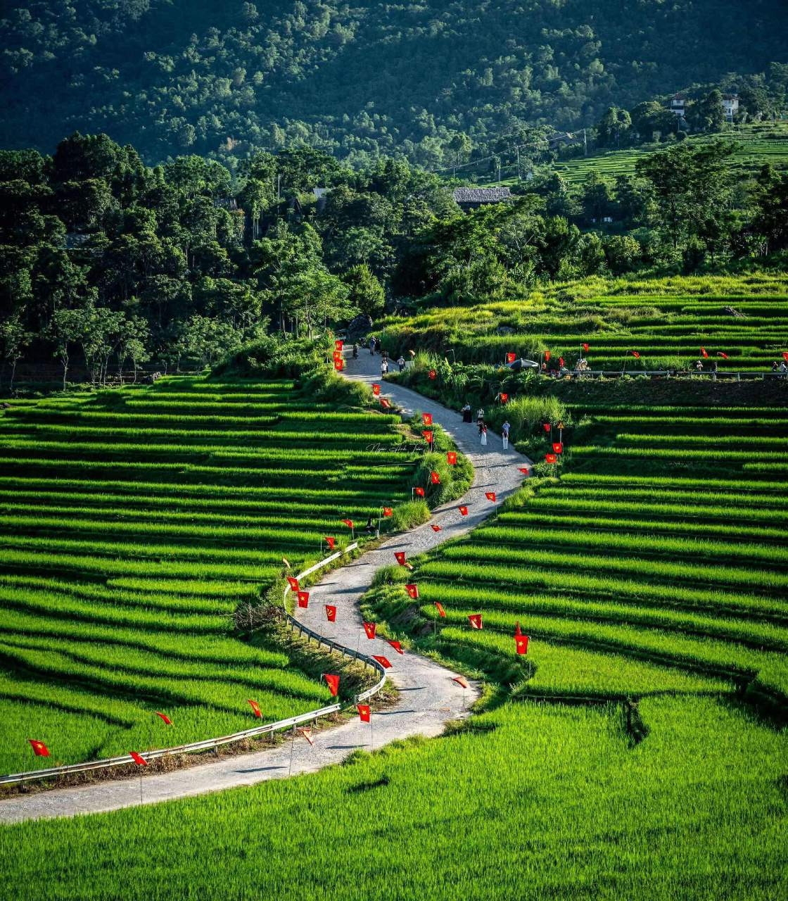 Pù Luông: tìm hiểu văn hóa và chuẩn bị trước khi tham quan
