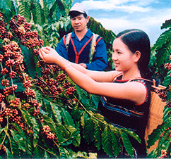 Ảnh du lịch tại Đắk Lắk