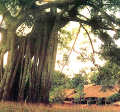 Ảnh du lịch tại Tuyên Quang
