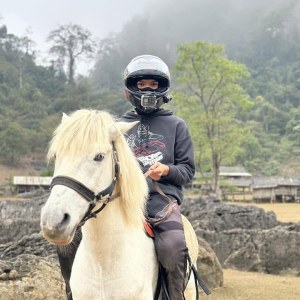 Vi Vu Việt Nam